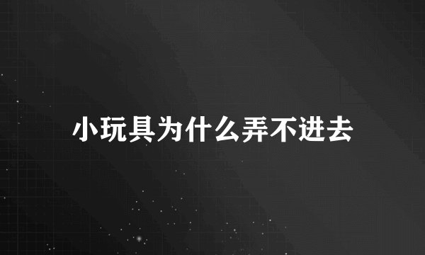 小玩具为什么弄不进去