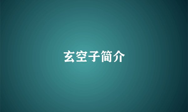 玄空子简介