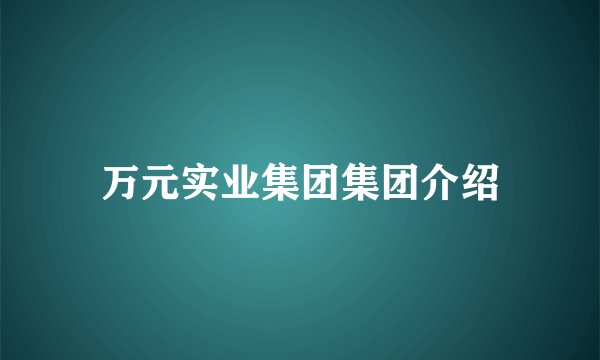 万元实业集团集团介绍