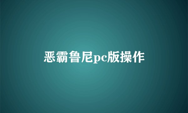 恶霸鲁尼pc版操作