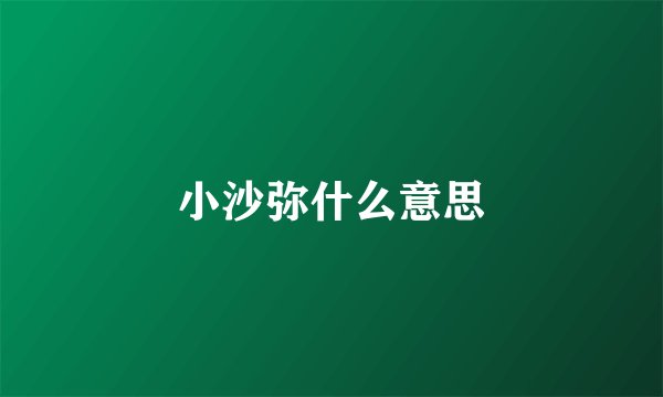 小沙弥什么意思