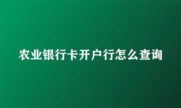 农业银行卡开户行怎么查询