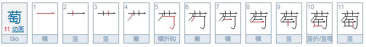 “萄”的两字组词有哪些？