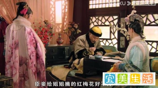 甄嬛传第21集｜安陵容倒向皇后