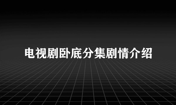 电视剧卧底分集剧情介绍