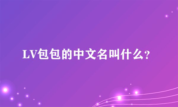 LV包包的中文名叫什么？