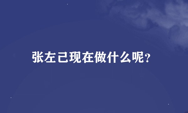 张左己现在做什么呢？