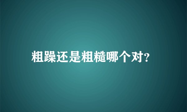 粗躁还是粗糙哪个对？