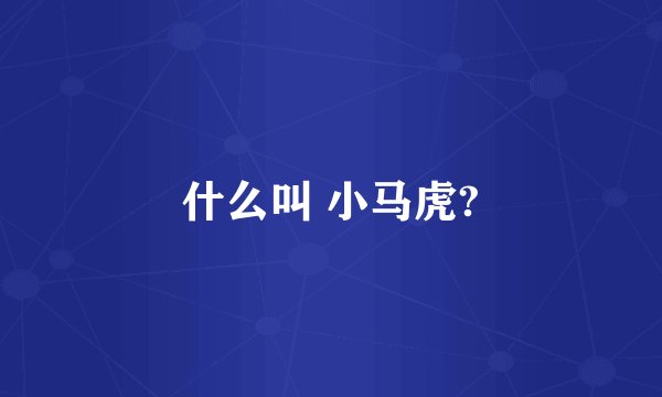 什么叫 小马虎?
