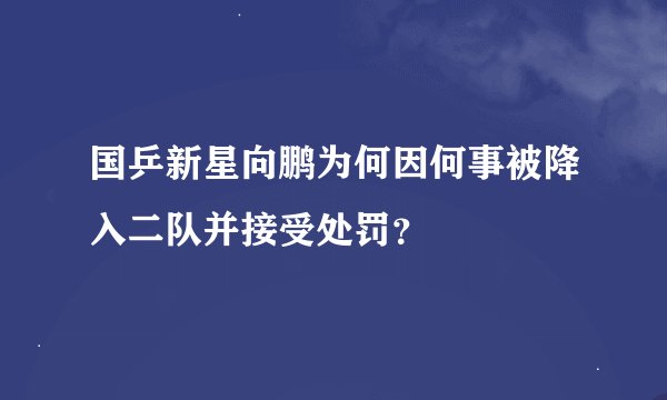 国乒新星向鹏为何因何事被降入二队并接受处罚？