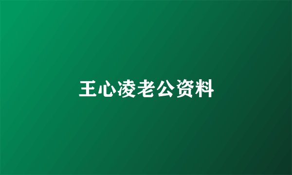 王心凌老公资料