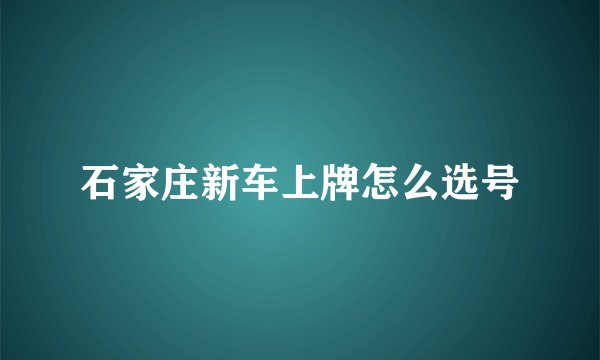 石家庄新车上牌怎么选号