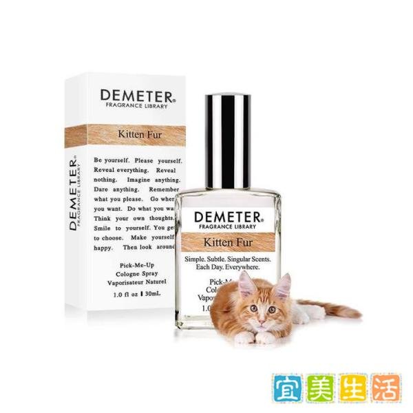 帝门特 小奶猫(猫皮) 强生润肤露同款氛围香水