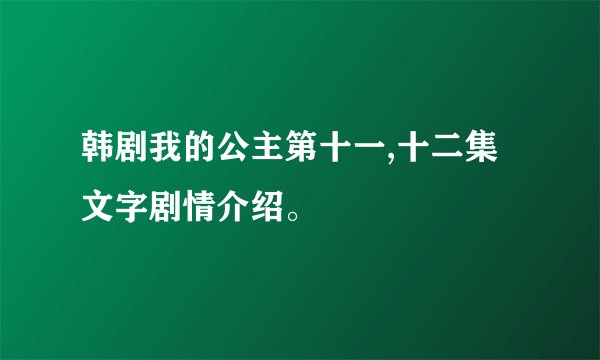 韩剧我的公主第十一,十二集文字剧情介绍。