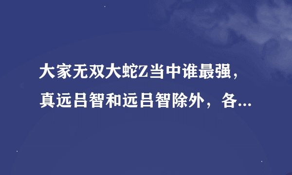大家无双大蛇Z当中谁最强，真远吕智和远吕智除外，各方面分析。