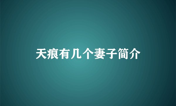 天痕有几个妻子简介