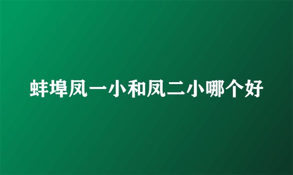 蚌埠凤一小和凤二小哪个好