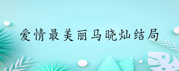 爱情最美丽马晓灿结局