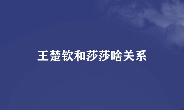 王楚钦和莎莎啥关系
