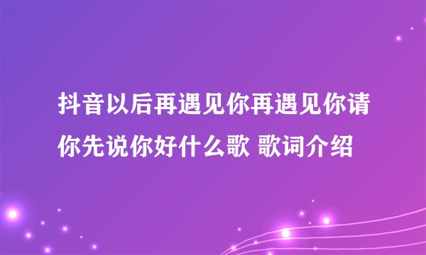 抖音以后再遇见你再遇见你请你先说你好什么歌 歌词介绍