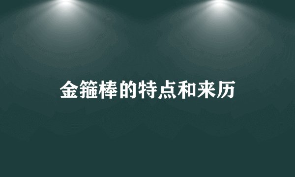 金箍棒的特点和来历