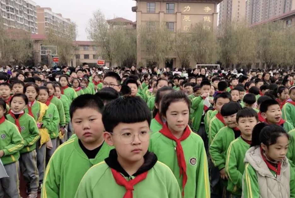 小学生涯的最后时光句子