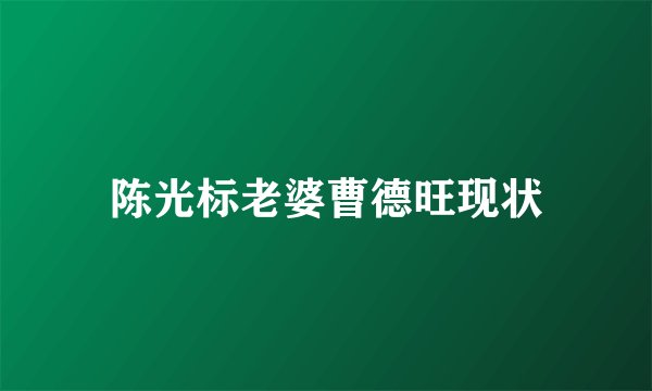 陈光标老婆曹德旺现状