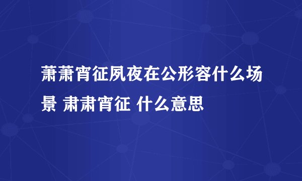 萧萧宵征夙夜在公形容什么场景 肃肃宵征 什么意思
