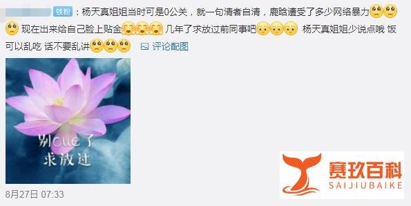 杨天真谈艺人恋情，张雨绮蹭热度人设崩塌，鹿晗无辜躺枪？
