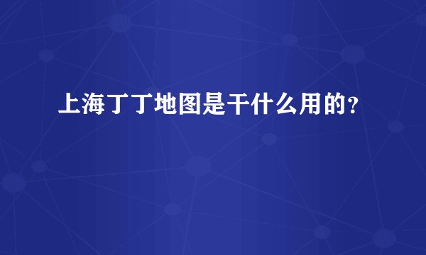 上海丁丁地图是干什么用的？