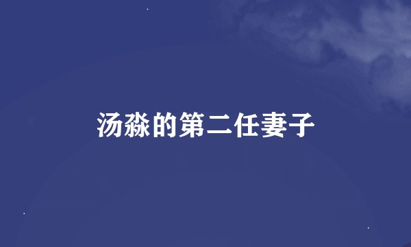 汤淼的第二任妻子