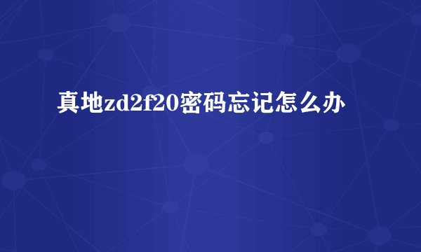 真地zd2f20密码忘记怎么办