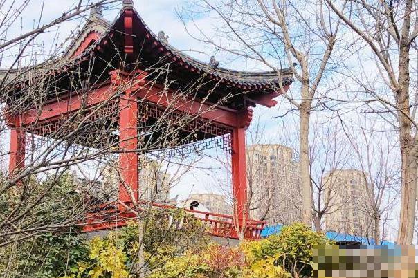 郑州市区免费午休的地方
