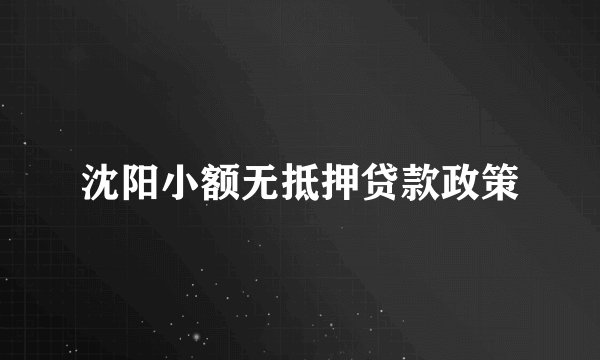 沈阳小额无抵押贷款政策
