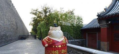 故宫现巨型御猫，吸引众多游客驻足撸猫合影