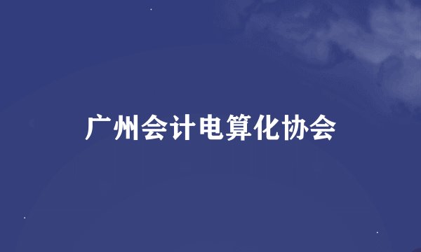 广州会计电算化协会