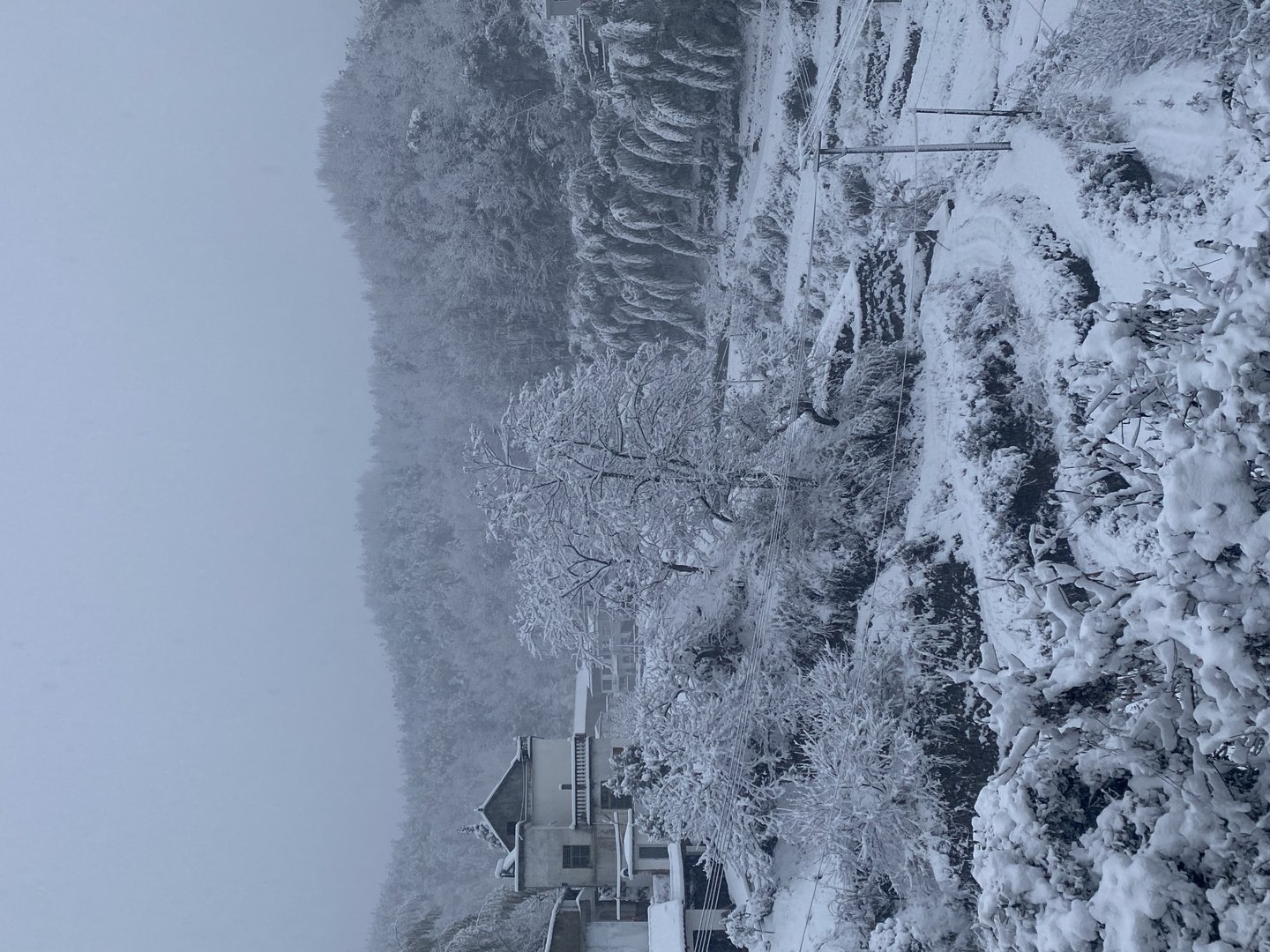 “双奥之城”北京迎虎年初雪,为何今年第一场雪来得早且下得大?