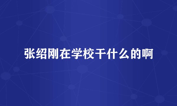 张绍刚在学校干什么的啊