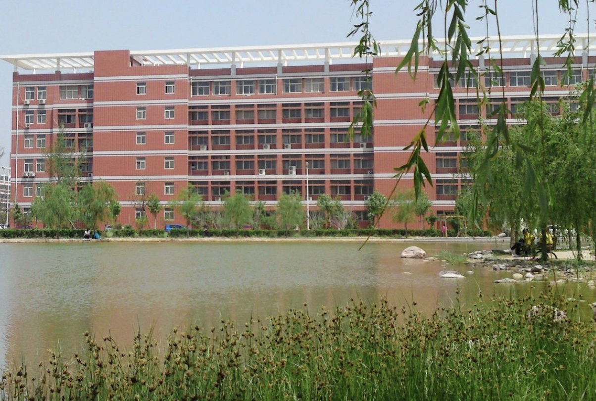 语言大学是985还是211