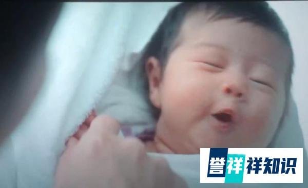 《满江红》和《流浪地球2》哪个更值得看？