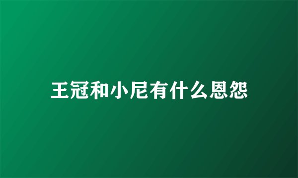 王冠和小尼有什么恩怨