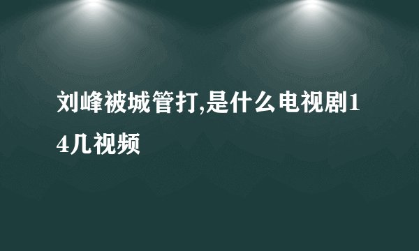 刘峰被城管打,是什么电视剧14几视频