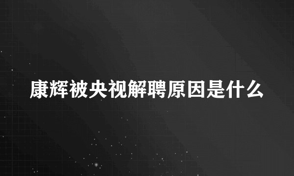 康辉被央视解聘原因是什么
