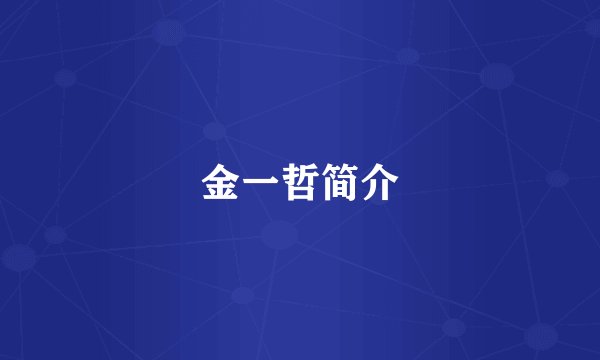 金一哲简介