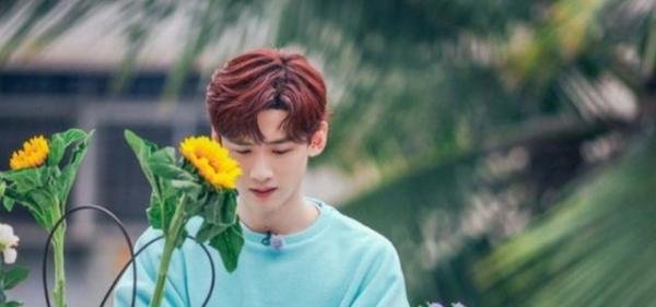 杨倩给白敬亭发语音,白敬亭：这波属实我高攀了!