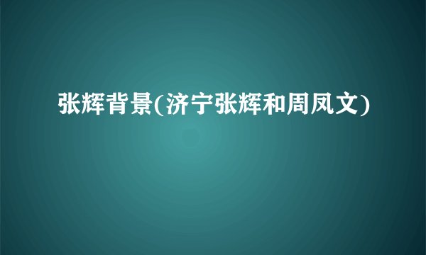 张辉背景(济宁张辉和周凤文)
