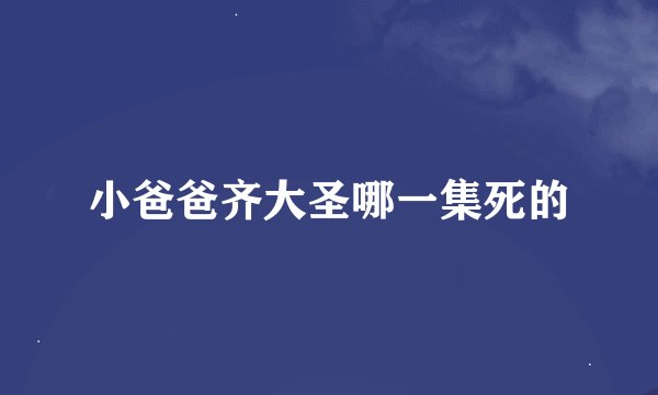 小爸爸齐大圣哪一集死的