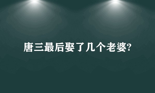 唐三最后娶了几个老婆?