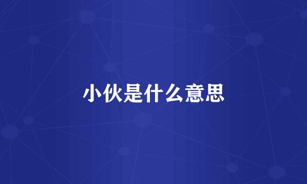 小伙是什么意思