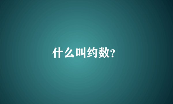 什么叫约数？